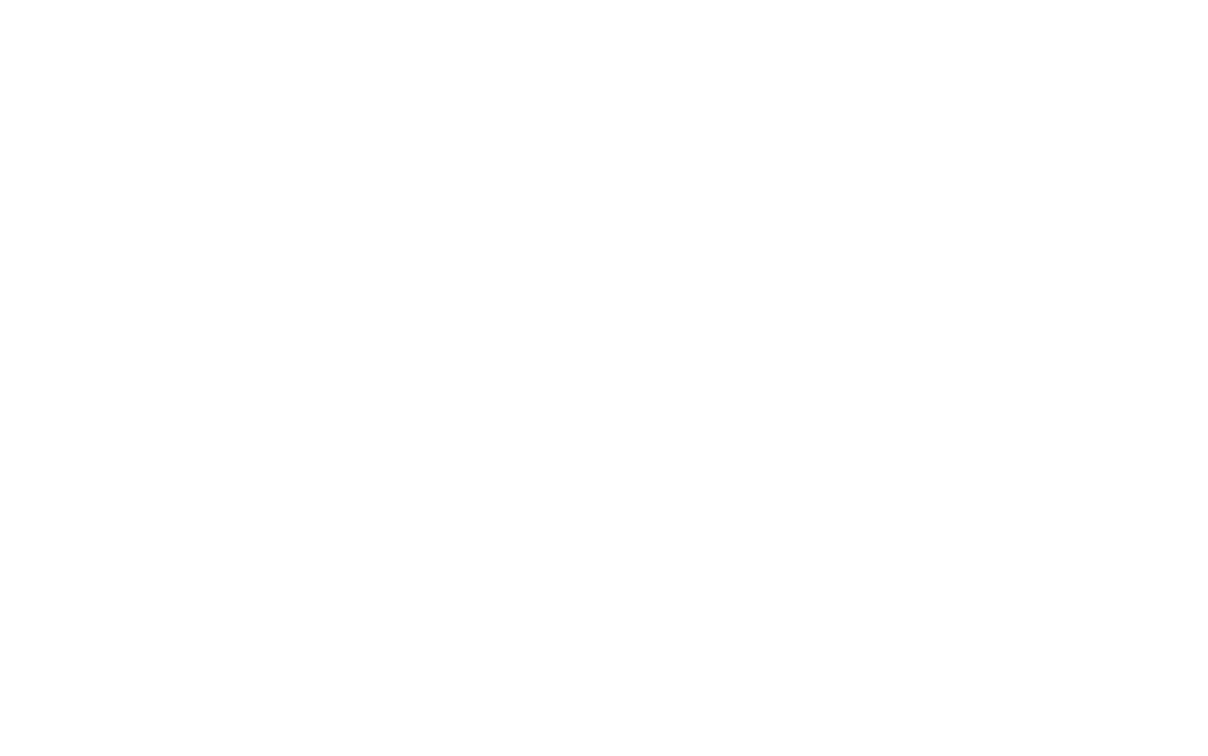Logo AII